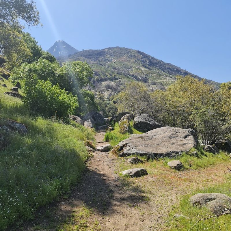 Native American Tribes Called This Land Home First