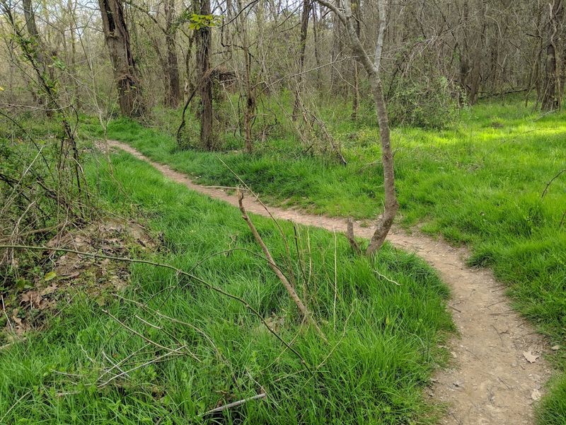 Practical Tips For Visitors