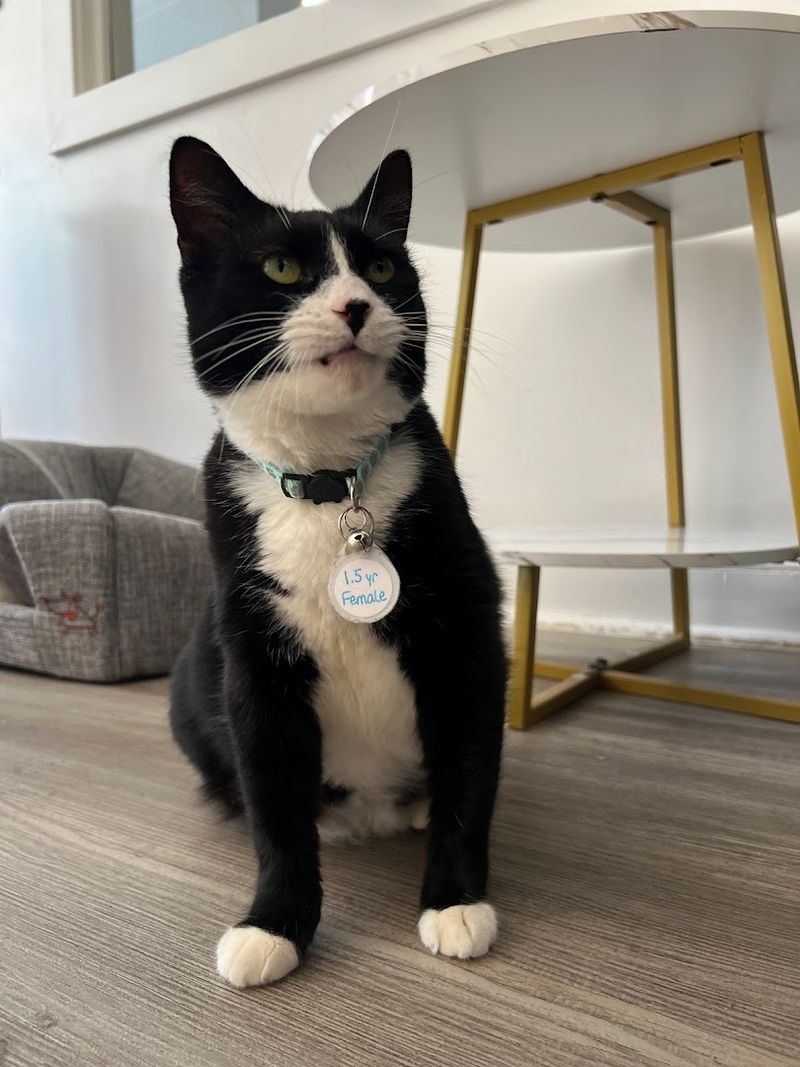 Welcoming to Visitors Aged 12 and Up