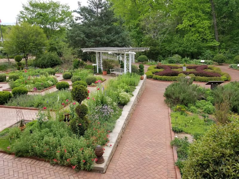 International Garden