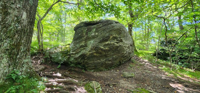 Farlow Gap Trail, Pisgah National Forest