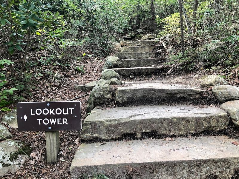 Moore's Knob Trail