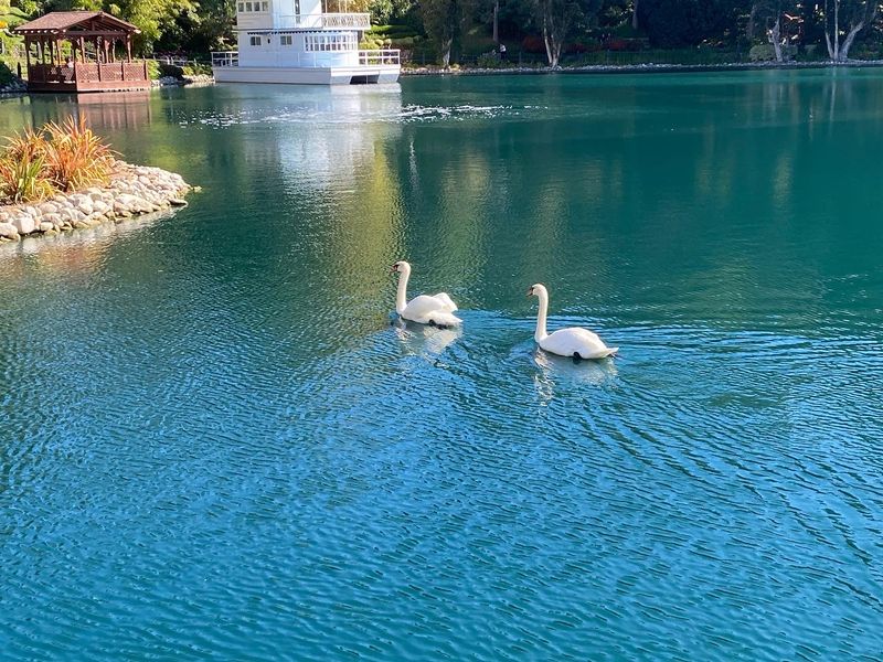 A Spring-Fed Lake At The Heart Of Everything