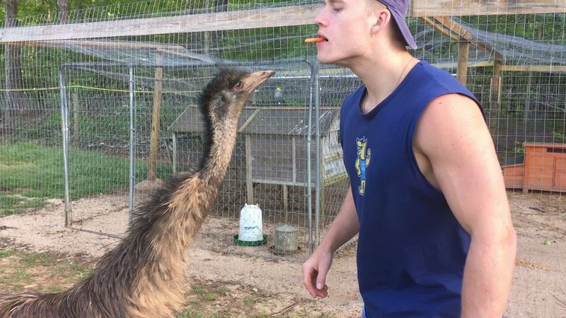 Affordable Admission Prices That Work For Real Budgets