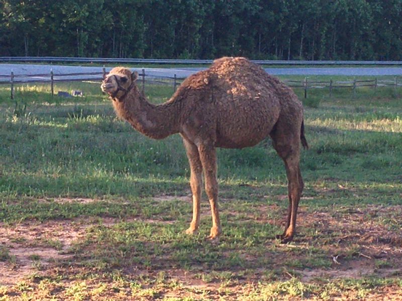 Unique Photo Opportunities Around Every Corner