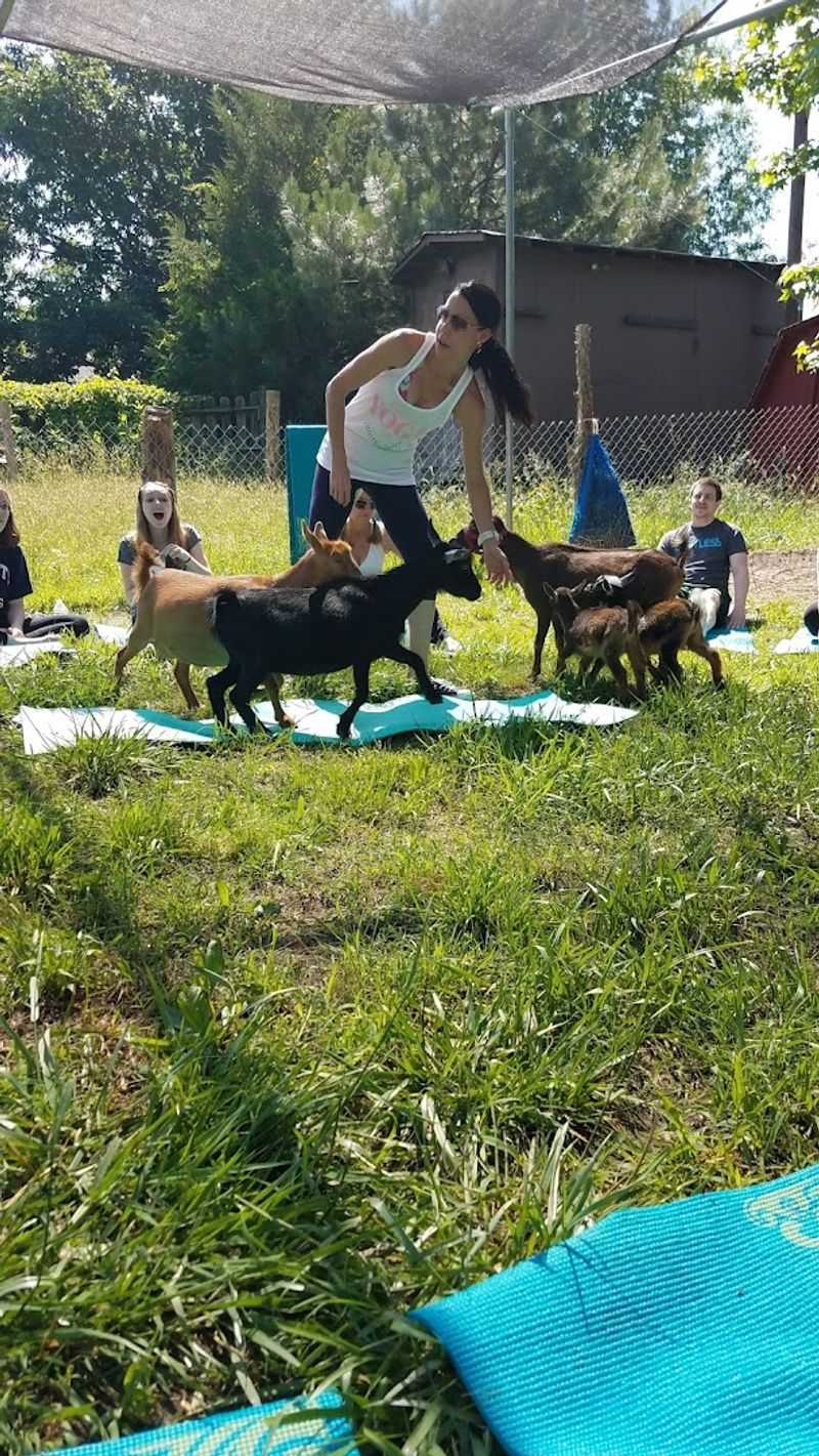 A Unique Outdoor Experience That Mixes Relaxation With Farm Life