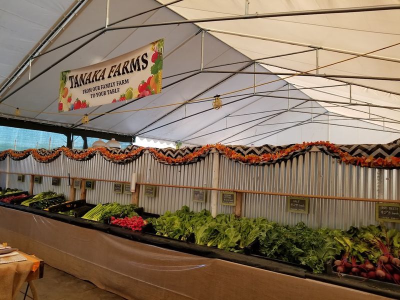 Educational Value Built Into Every Visit