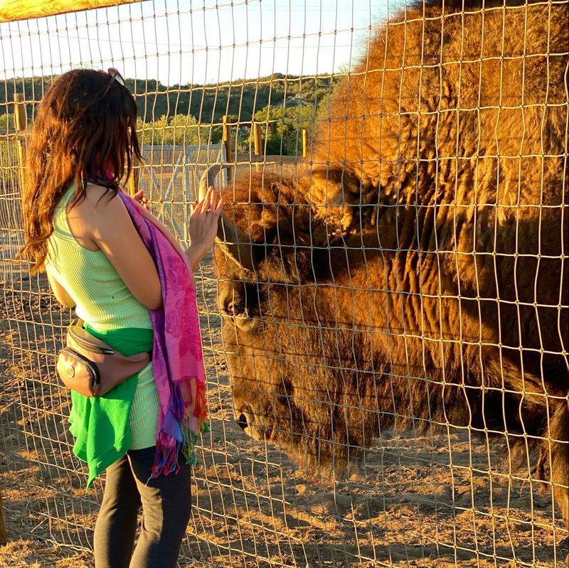 Discover This Alpine, California Petting Zoo That's Creating Big Family Memories - Decor Hint Admission Pricing And Annual Membership Options Explained