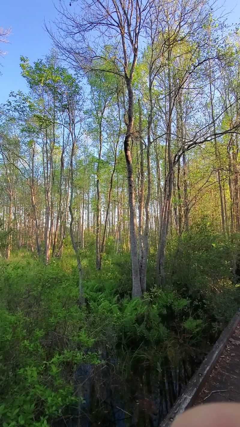 The Trembling Earth Nature Trail