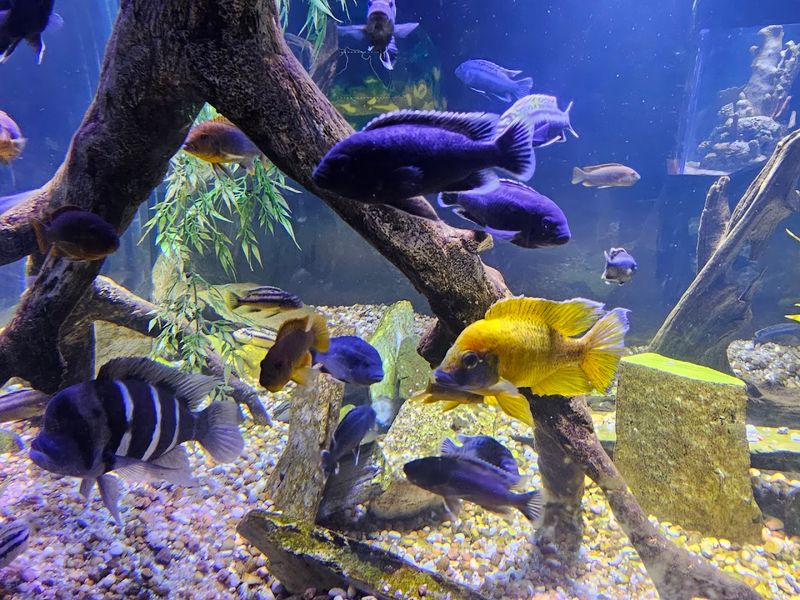 Family-Friendly Fun for All Ages