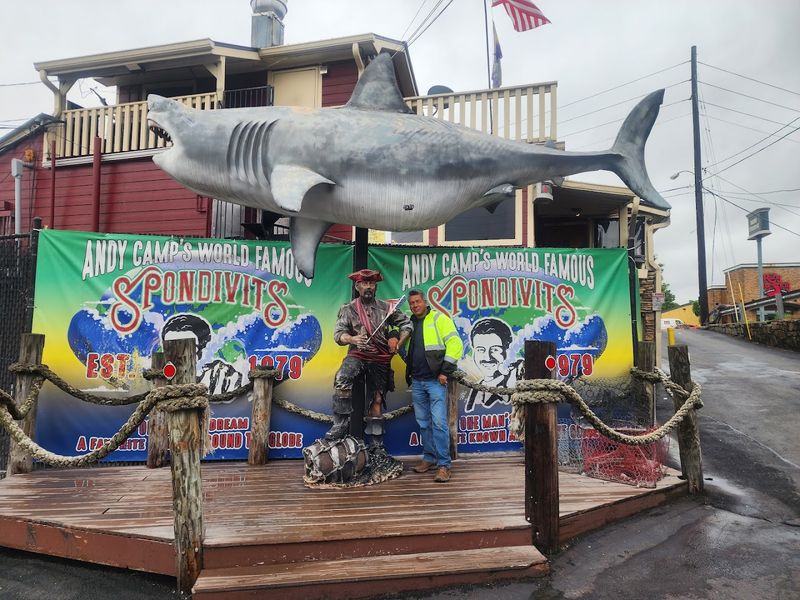 Live Music Adding to the Vibe