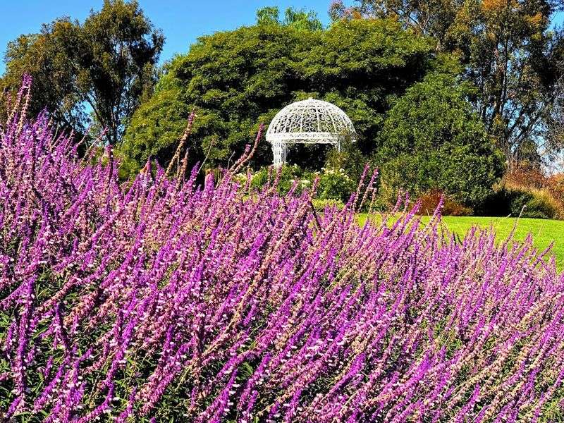 Parent And Me: Pollination Exploration For Families