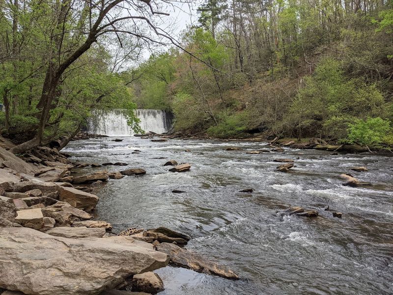 Community Events and Educational Programs