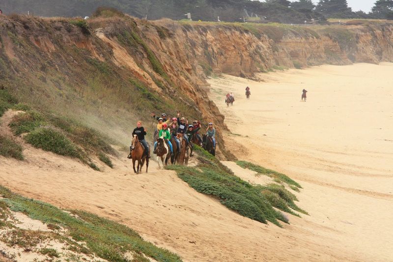 Trails That Wind Along Bluffs And Sandy Shores