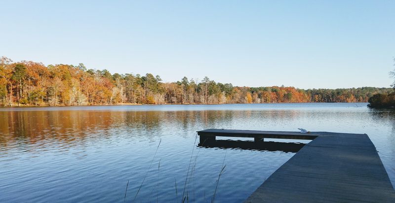 This Historic Small Town In Georgia Is Perfect For Relaxing Weekend Getaways - Decor Hint Hard Labor Creek State Park
