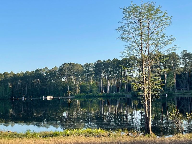15 Georgia Beachfront Campgrounds Where You Can Camp Steps From The Water - Decor Hint Laura S. Walker State Park