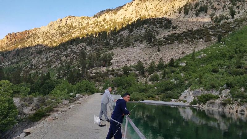 Rainbow And Brown Trout Make It A Fishing Favorite