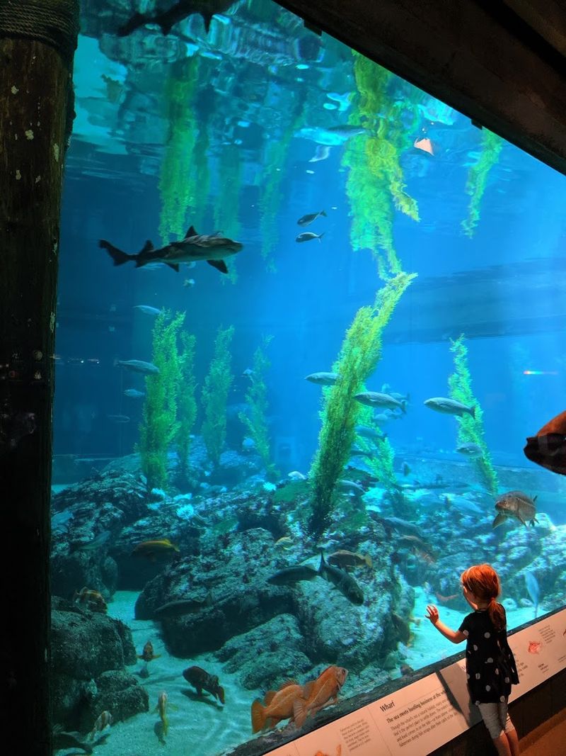 Up To 2,000 Gallons Of Real Seawater Pumped In Every Minute