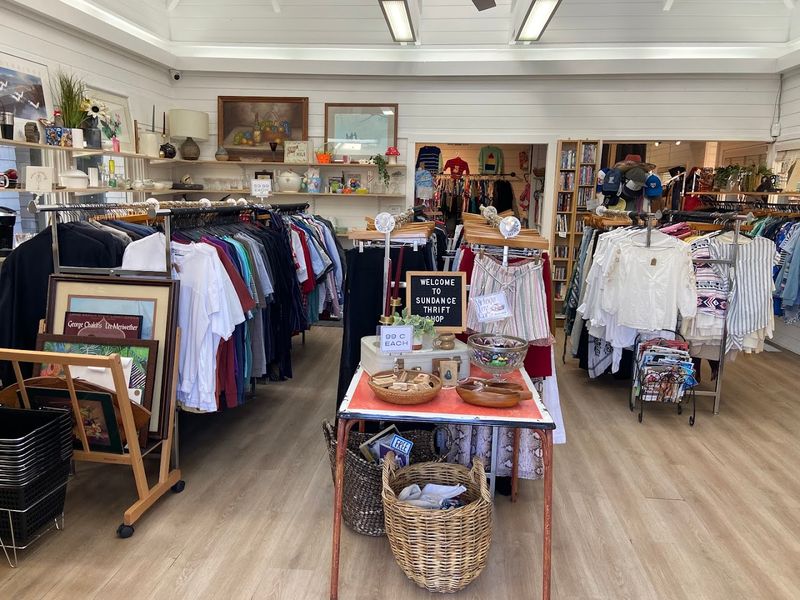 Sustainable Shopping With Real Purpose