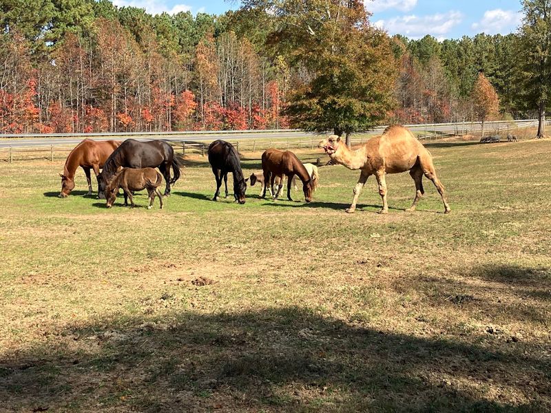 A Genuinely Family-Friendly Environment For All Ages