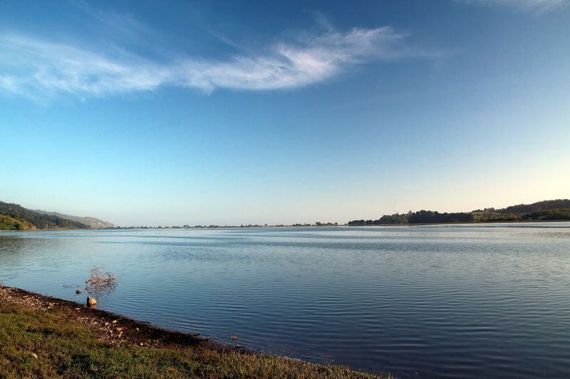 Bolinas Lagoon, Marin County