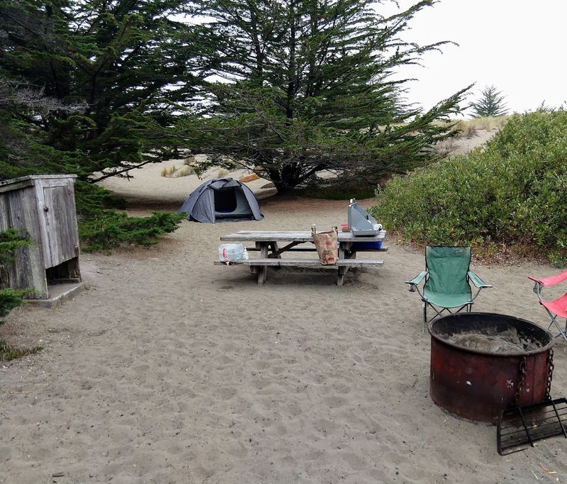 Bodega Dunes Campground, Bodega Bay