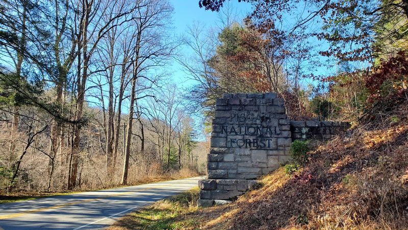 Forest Heritage Scenic Byway
