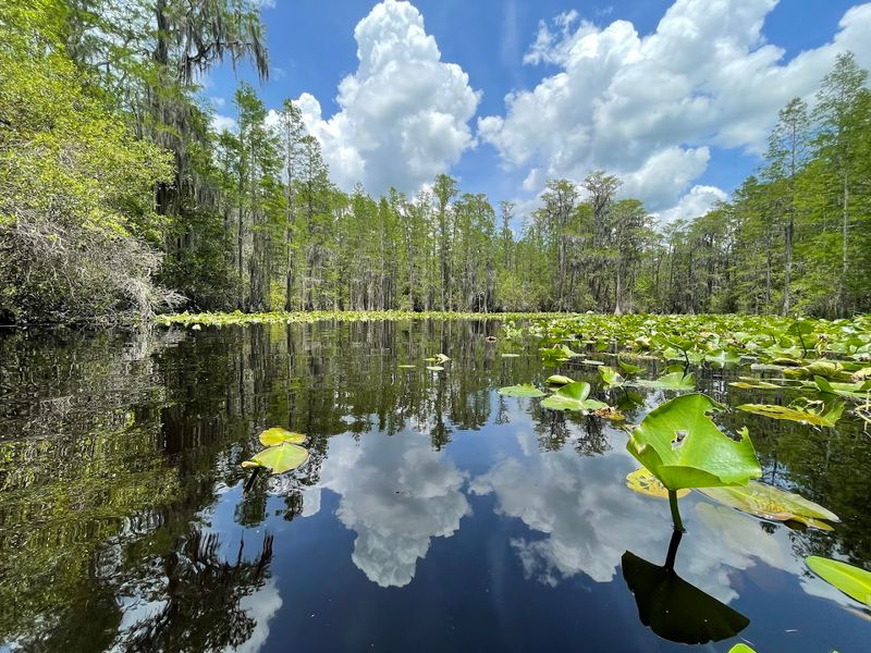 Canoe and Kayak Rentals for Self-Guided Exploration