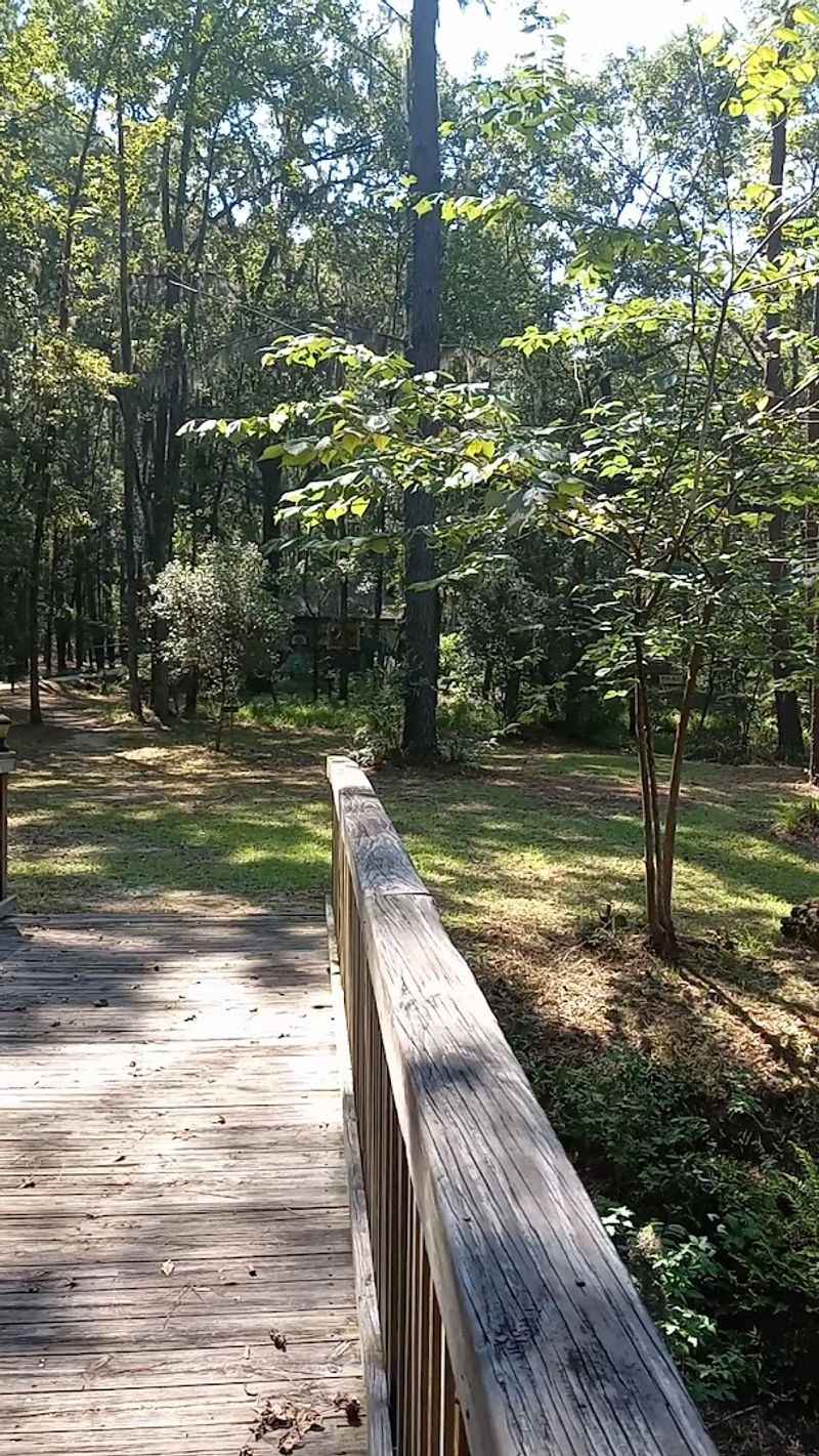 Community Events and Educational Programs