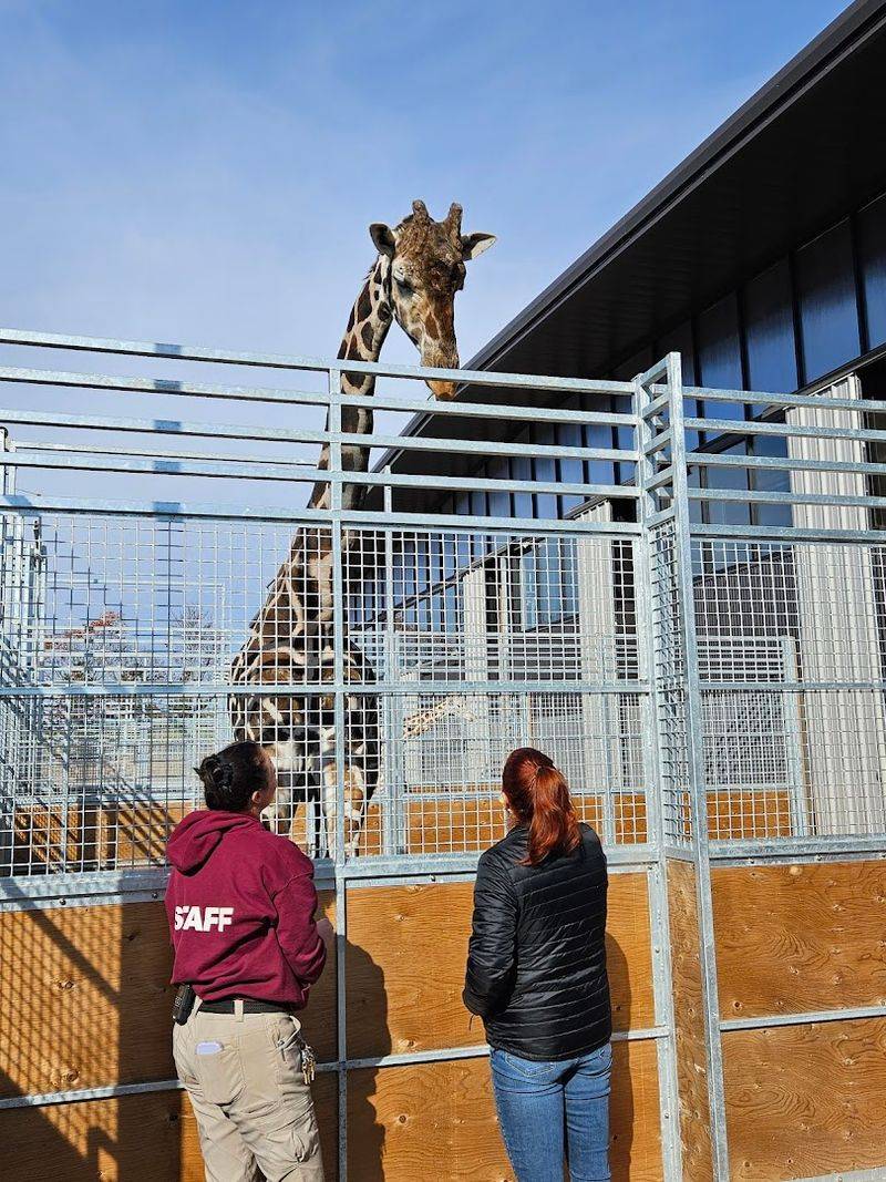 Educational Programs for All Ages