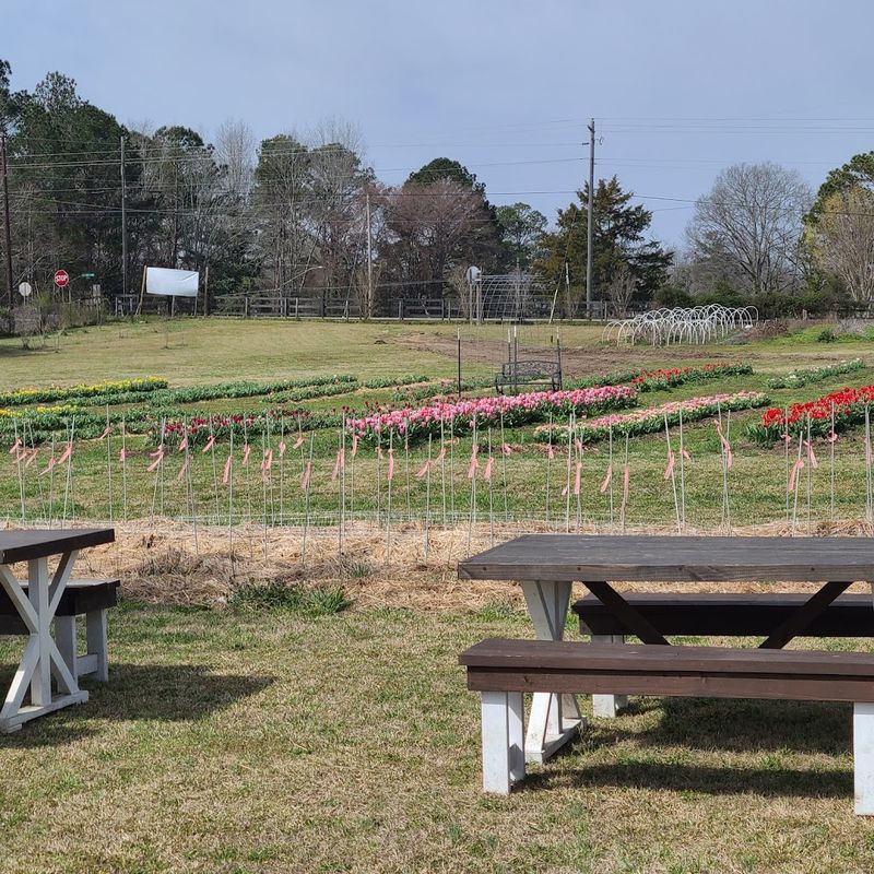 Farmhouse Stays That Offer True Quiet