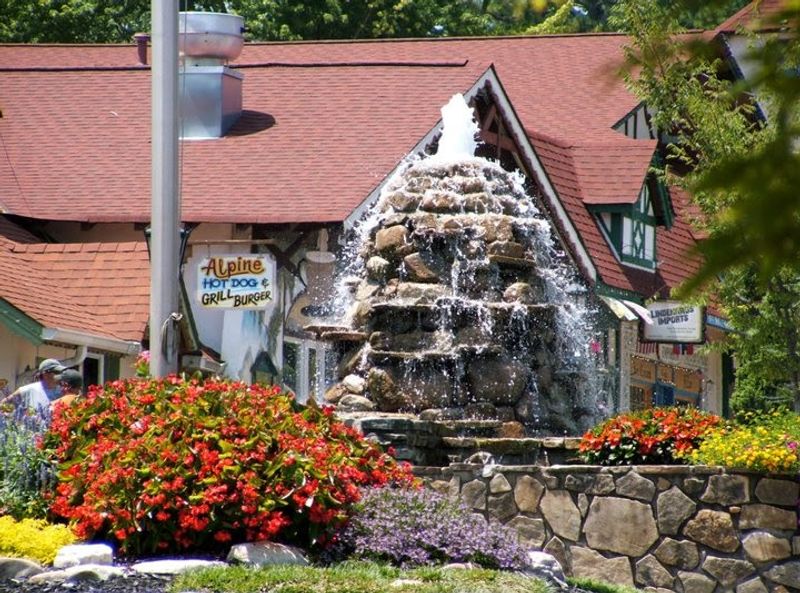 Wildflower Blooms: Nature Puts on a Free Show