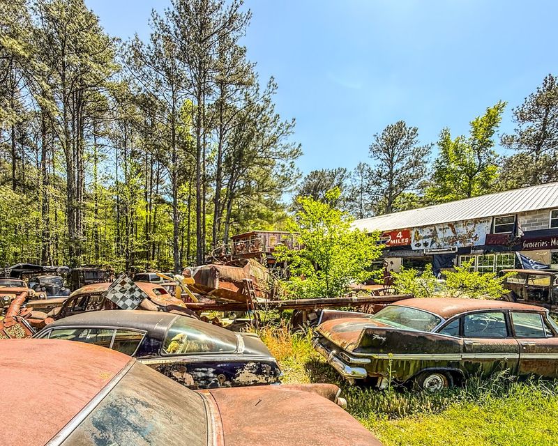 A Genuinely Family-Friendly Outing