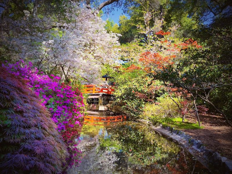 Membership Pays For Itself Quickly For Regular Visitors