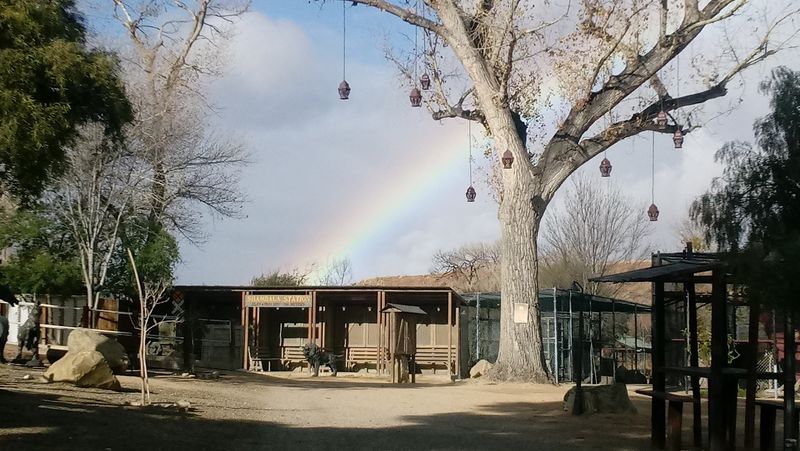 Tour Experience And Logistics