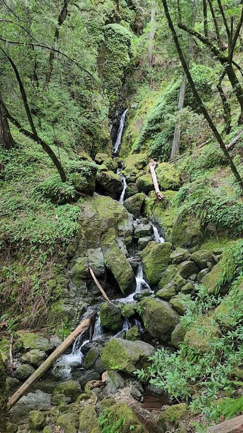 Cataract Falls Trail, Mount Tamalpais