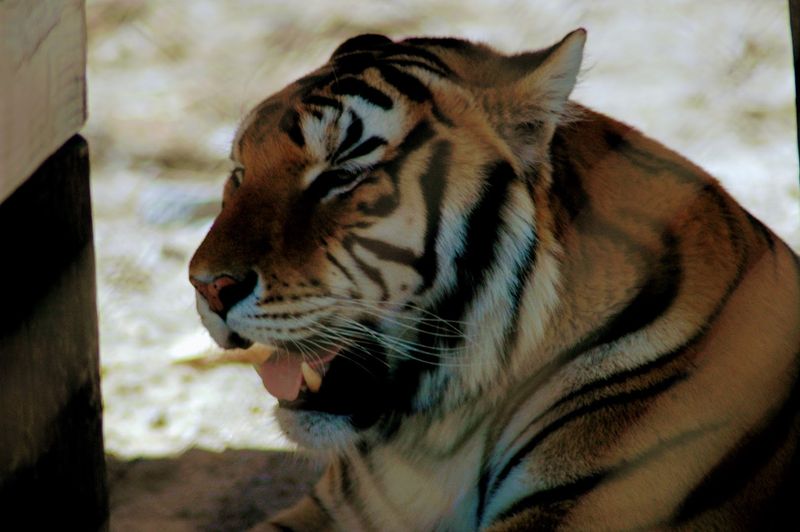 Ethics And Advocacy Efforts