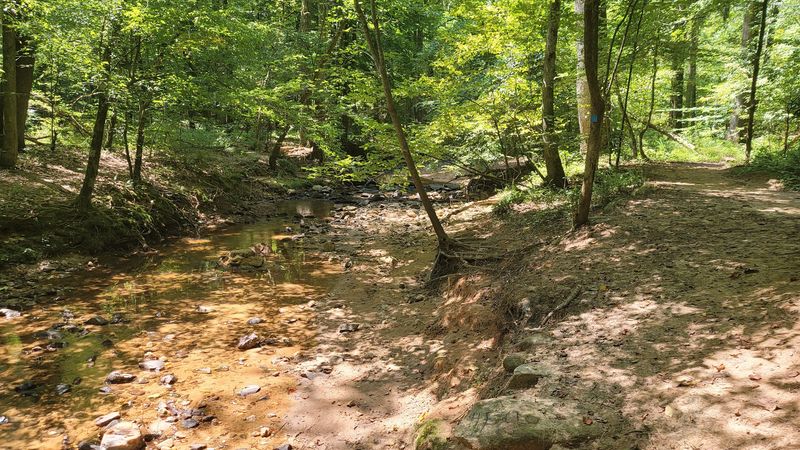 Loblolly Trail, Raleigh