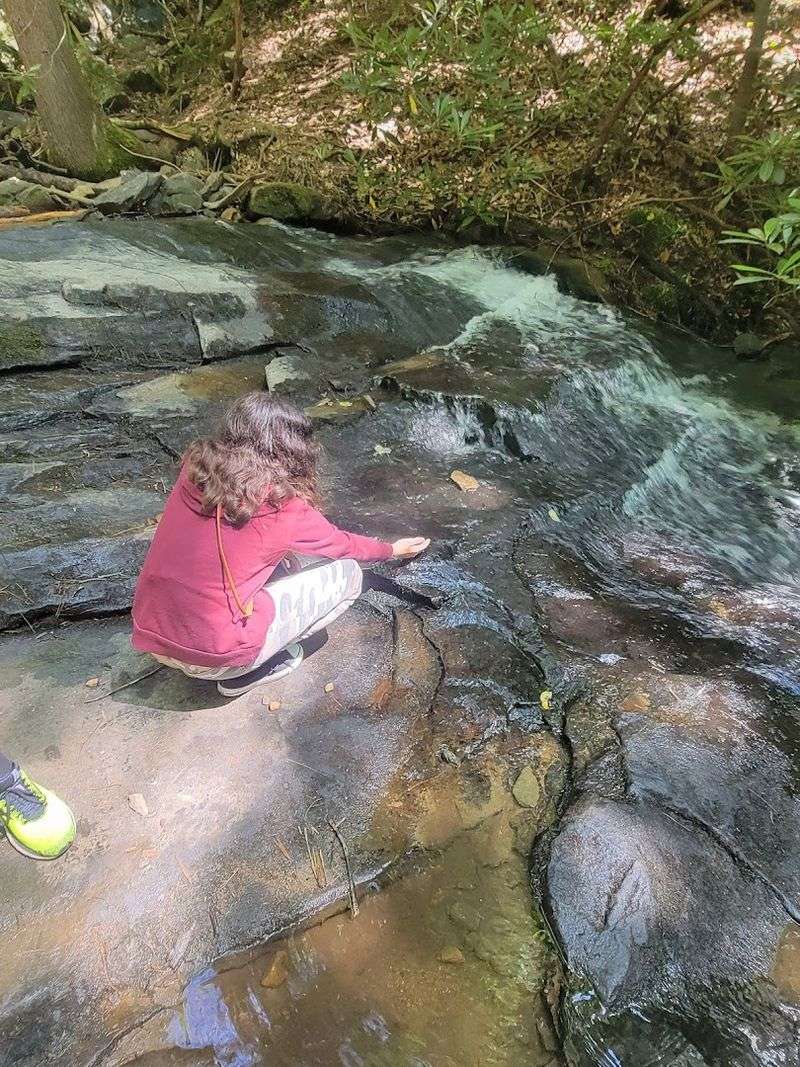 An Outdoor Classroom Hidden in the Forest