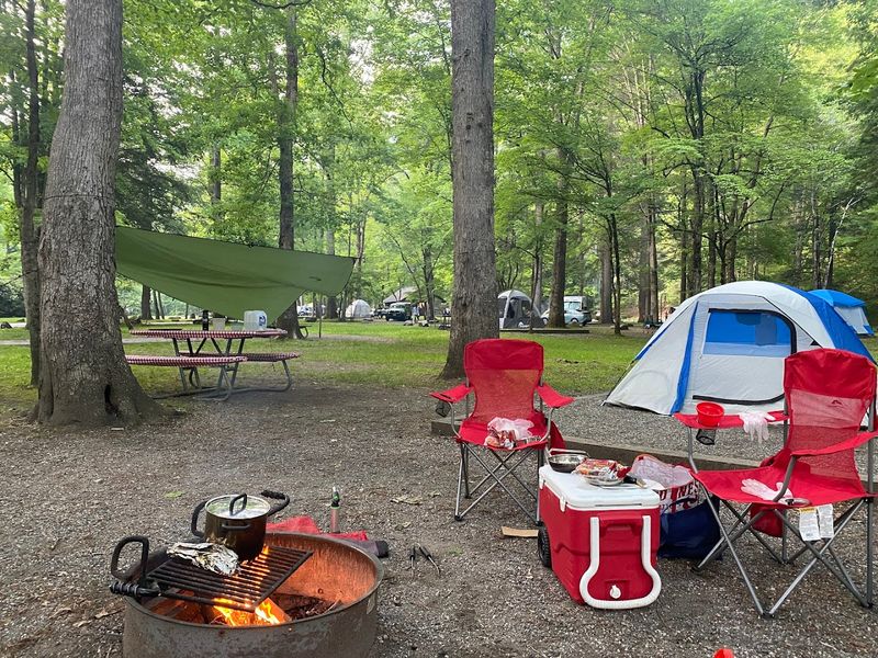 Camp Beneath The Stars In Great Smoky Mountains National Park