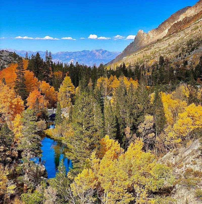 Fall Colors Here Are Genuinely Spectacular