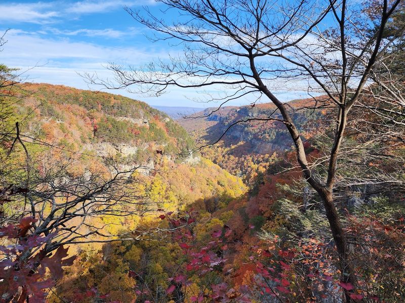 Mountain Biking Adventures at Cloudland Canyon