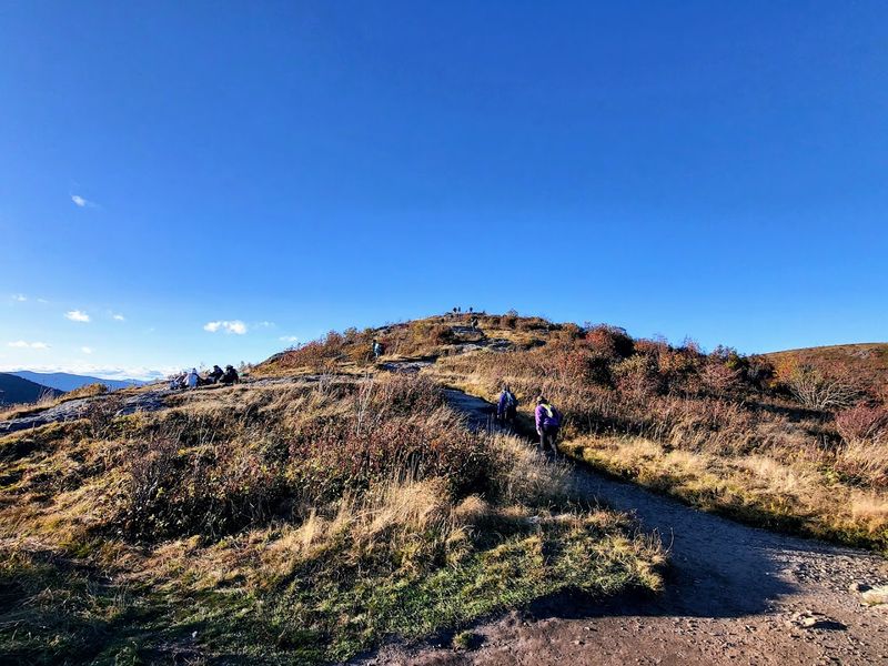 Black Balsam Knob Trail, Waynesville