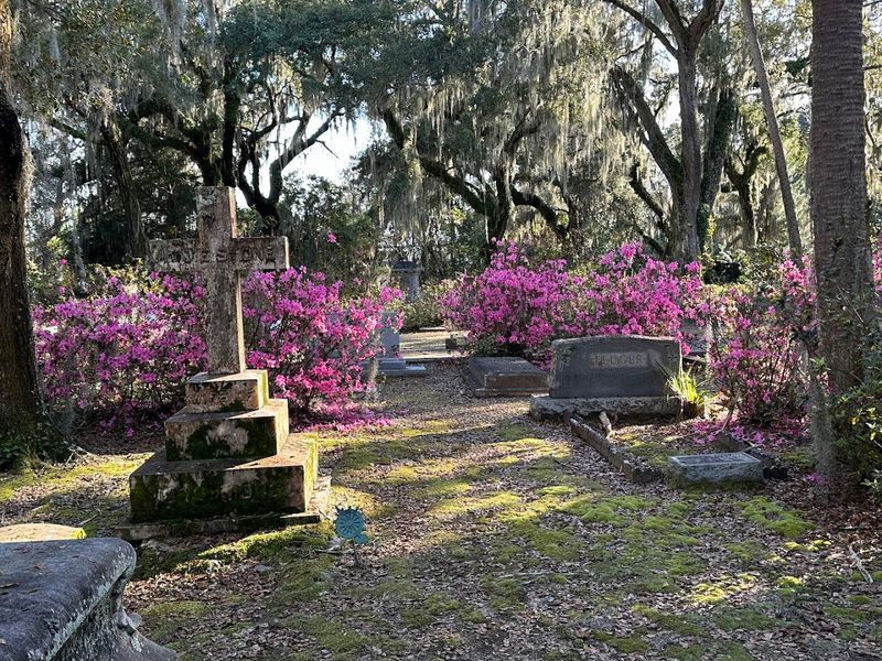 This Haunted Landmark Bonaventure Cemetery Savannah Georgia Draws Thousands - Decor Hint The Bird Girl Statue Connection