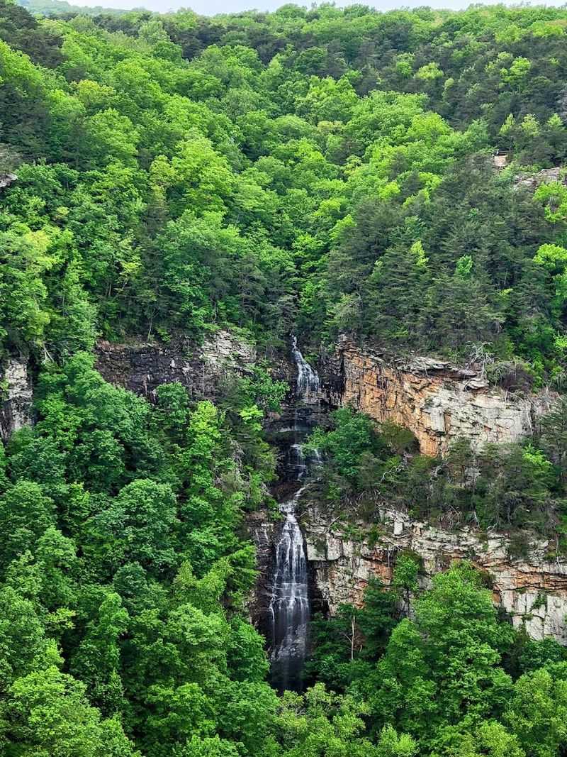 Well-Maintained Trail Accessibility