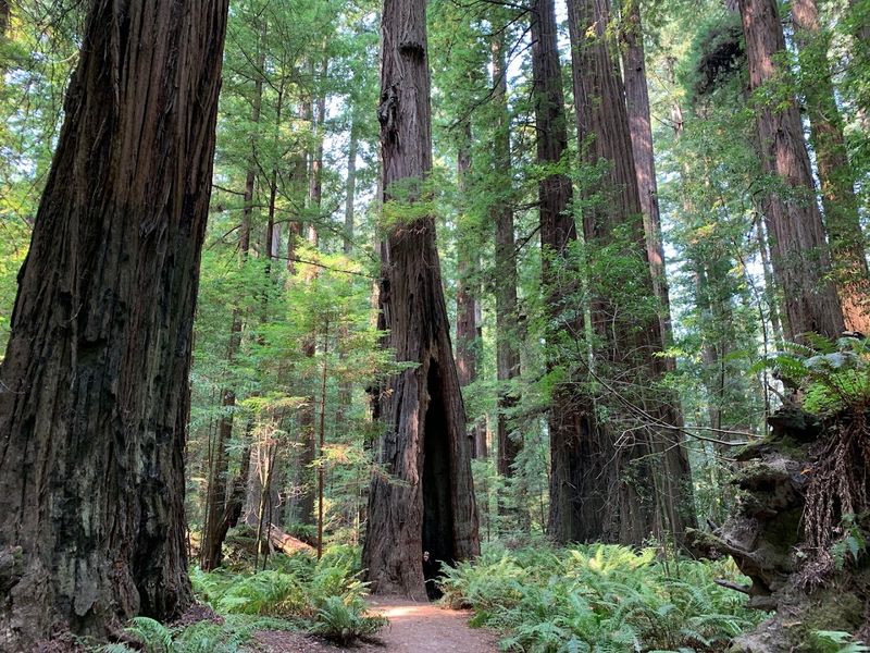 Seasonal Beauty: Why March Is A Magical Time To Visit