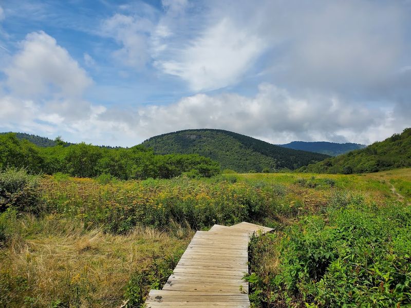 Sam Knob Trailhead, Blue Ridge Parkway