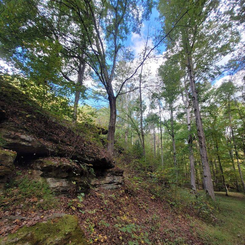 What you should know before driving