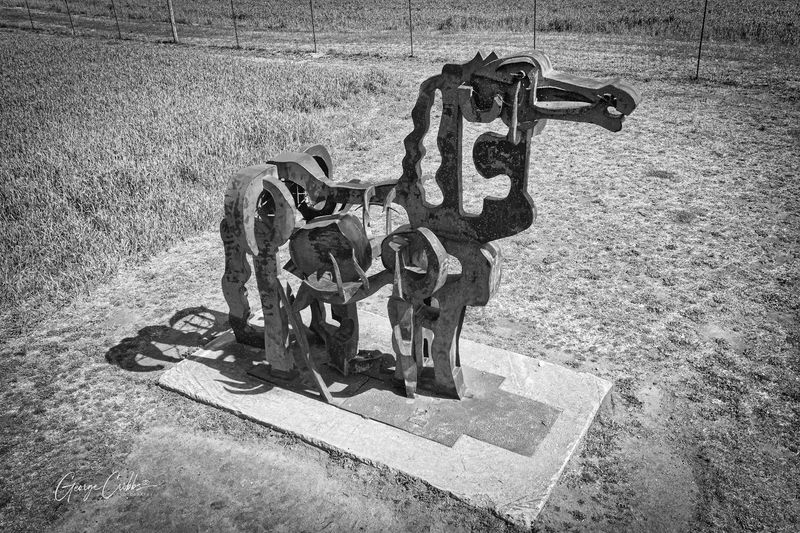 The Role of UGA in Its Preservation