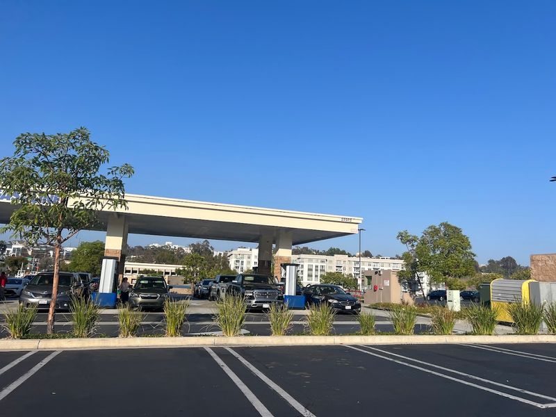 What The Layout Of The Site Will Look Like